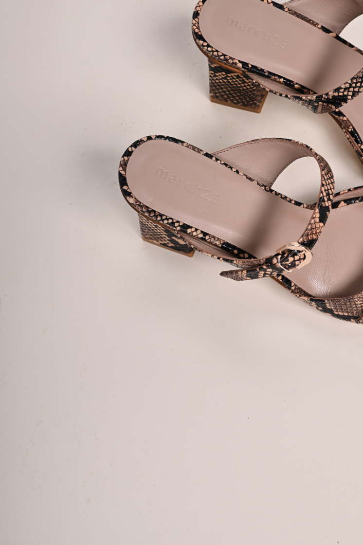 PYTHON BRONZE