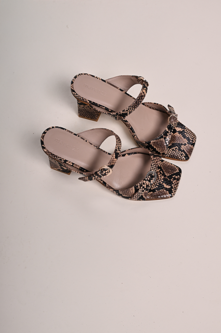 PYTHON BRONZE