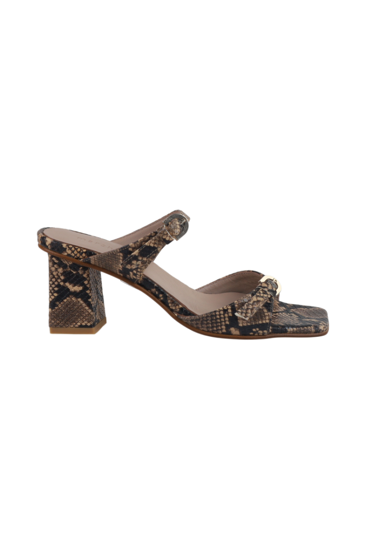 PYTHON BRONZE