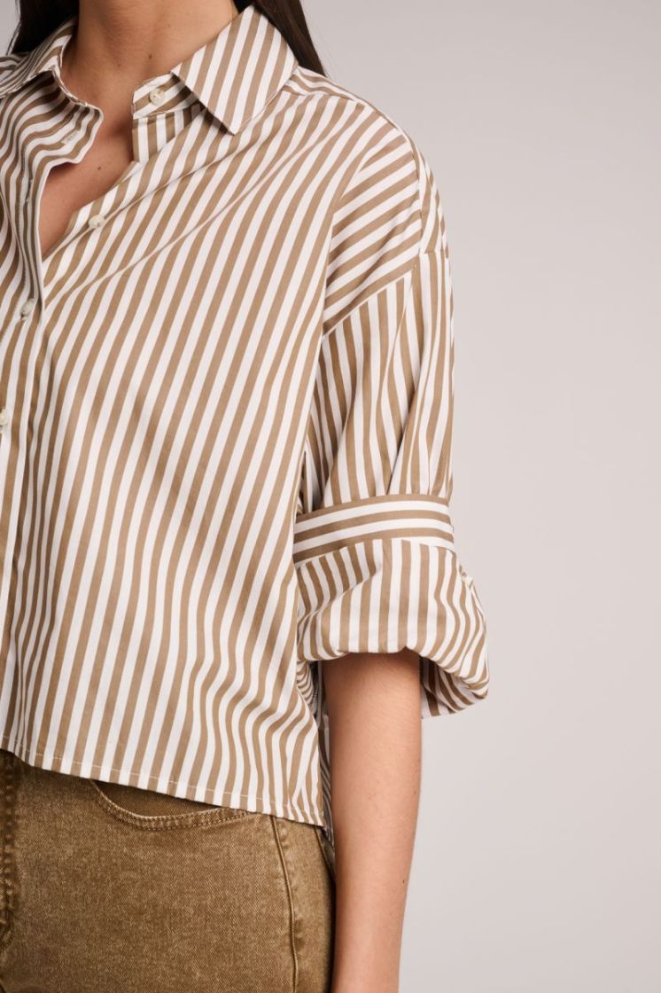 POPLIN STRIPES OLIVE